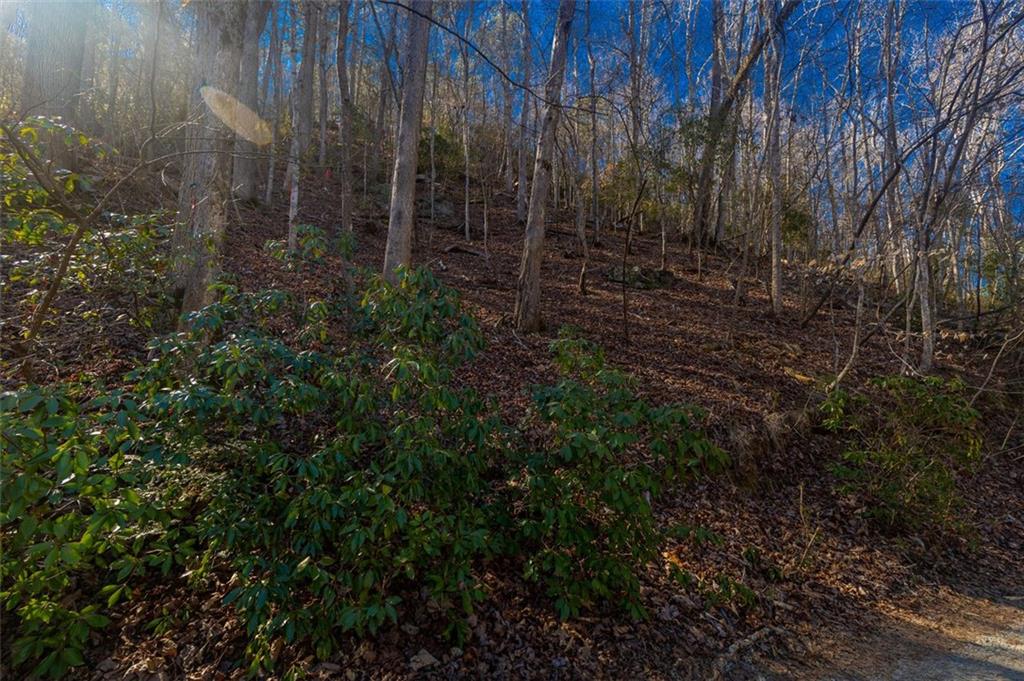 Fague Drive, Ellijay, Georgia image 6