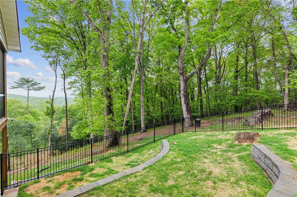 774 Hickory Ridge Dr, Ellijay, Georgia image 50
