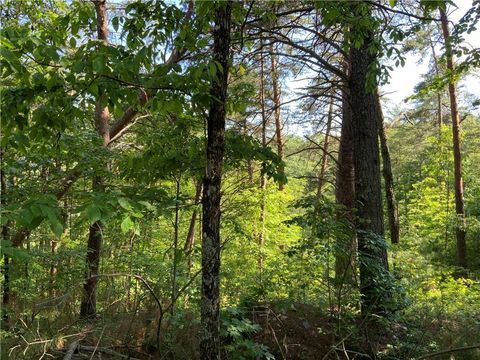 Vacant Land For Sale - 1335 Birch Lane<br/> Ranger, GA 30734