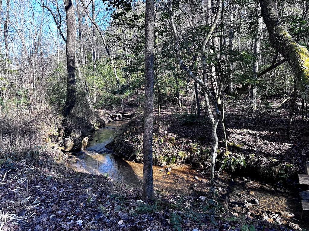 Idle Lane Lane, Blue Ridge, Georgia image 7