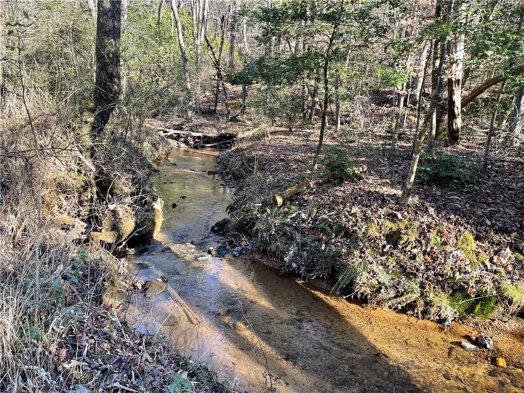 Idle Lane Lane, Blue Ridge, Georgia image 2