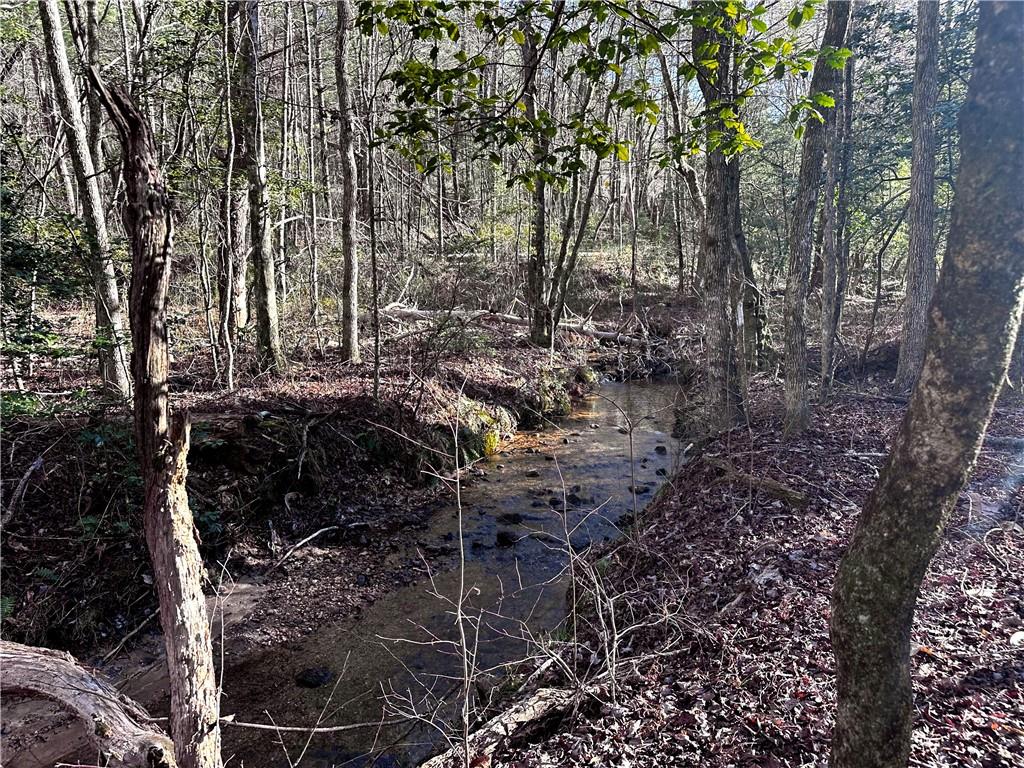 Idle Lane Lane, Blue Ridge, Georgia image 6