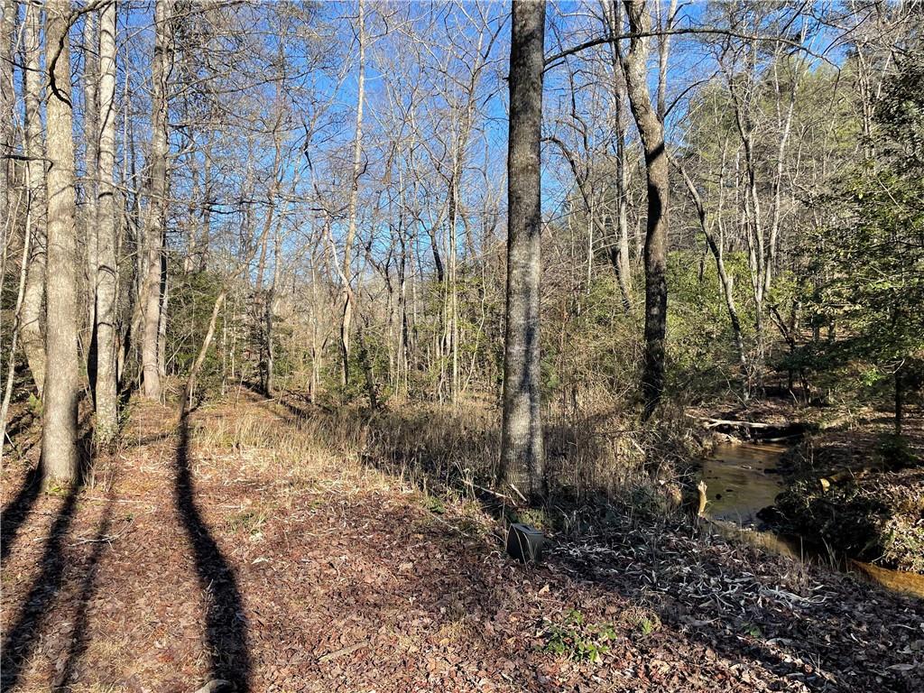 Idle Lane Lane, Blue Ridge, Georgia image 10