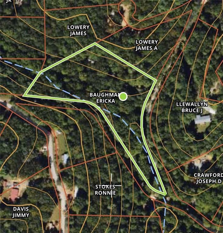 287 Spring Creek Trail, Ellijay, Georgia image 7