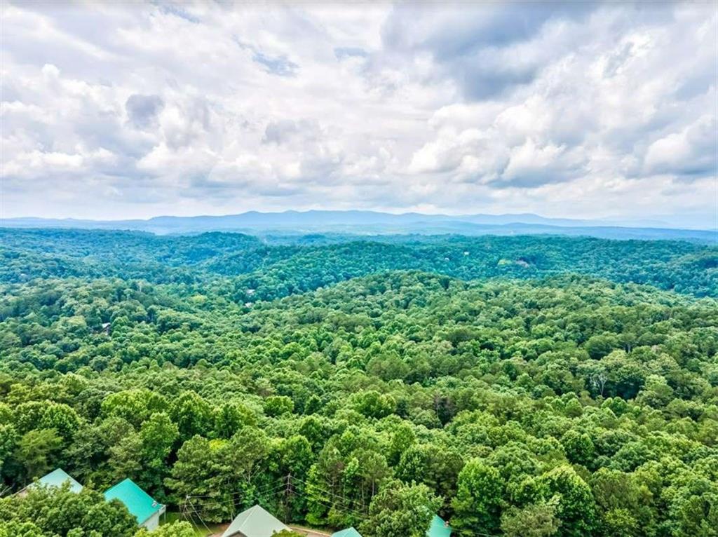 6 Eagle Mountain Villa Court, Ellijay, Georgia image 47