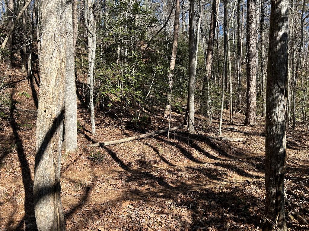 000 Twin River Orchard Road