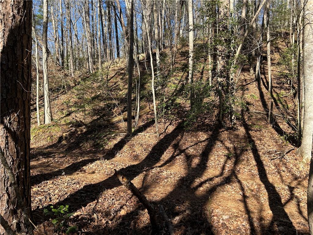 000 Twin River Orchard Road