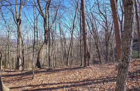 Vacant Land For Sale - Walnut Mountain Road<br/> Ellijay, GA 30536