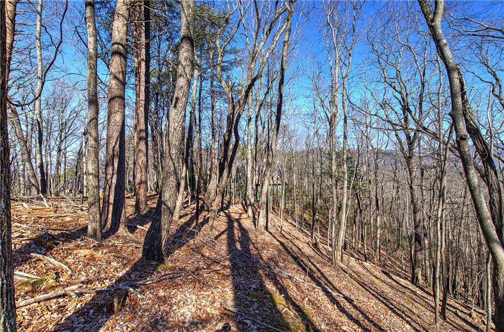 0 Walnut Mountain Road