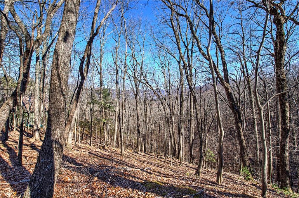 0 Walnut Mountain Road