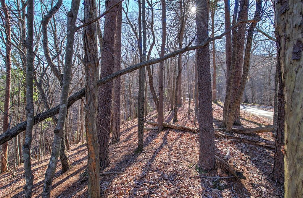 0 Walnut Mountain Road
