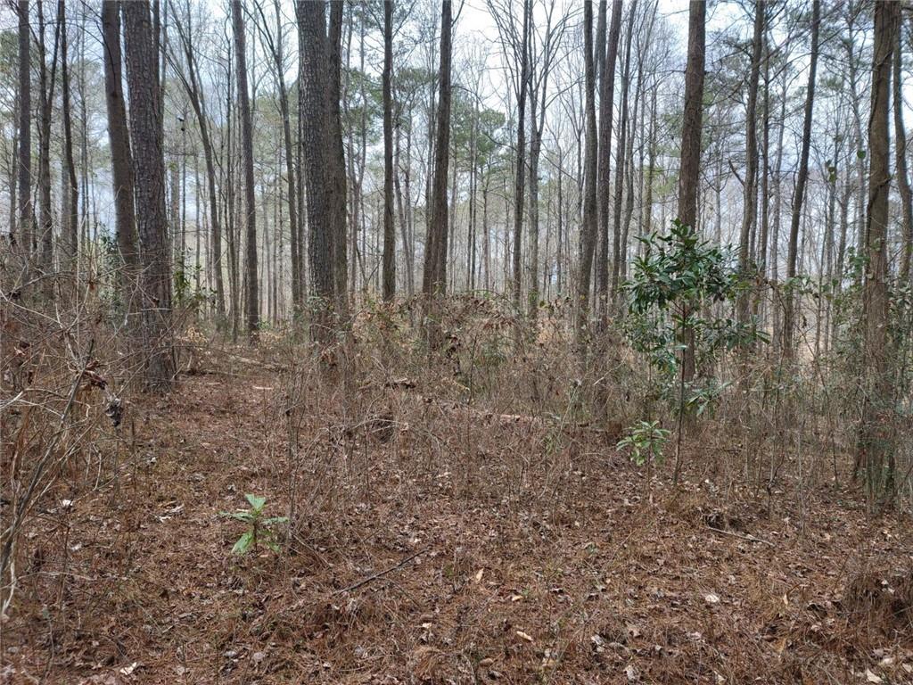 Brookwood Drive, Mableton, Georgia image 8