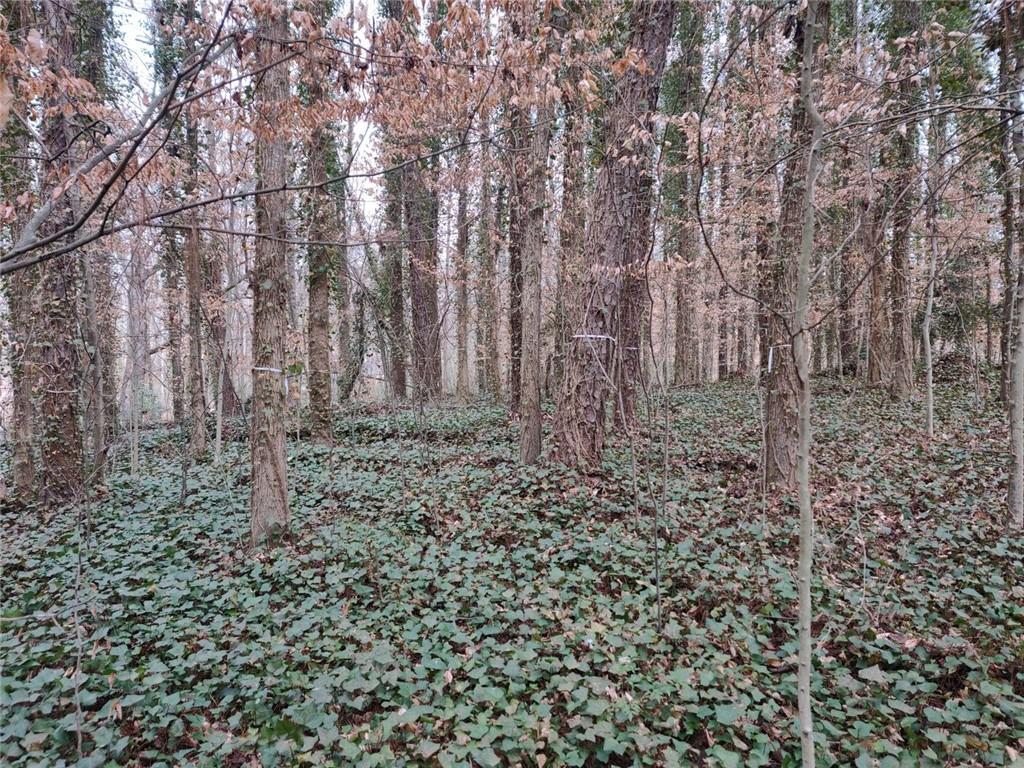 Brookwood Drive, Mableton, Georgia image 6