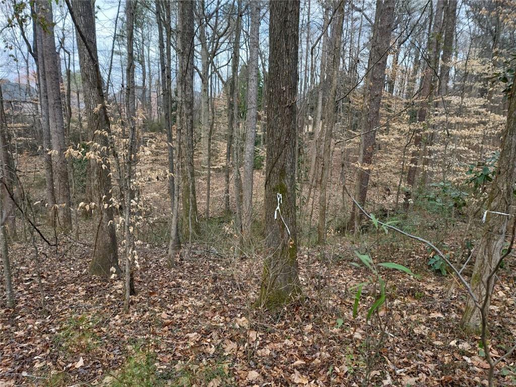 0 Brookwood Drive