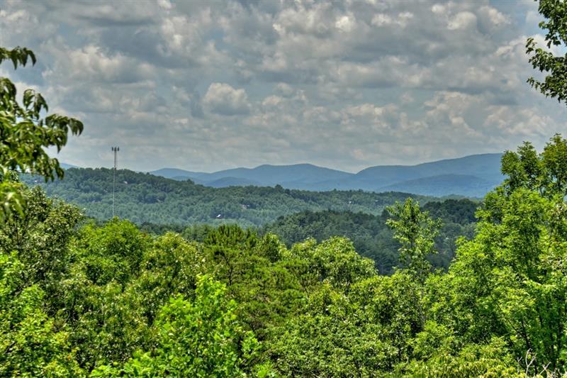 295 Bear Mountain Pass, Mineral Bluff, Georgia image 3