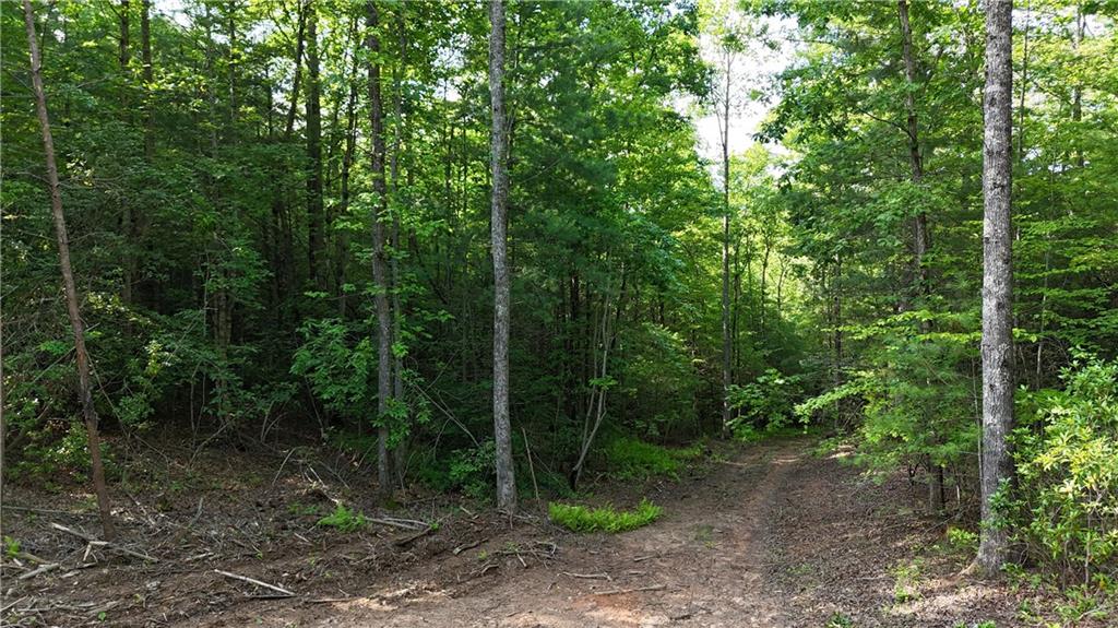 TR C East New Hope Road