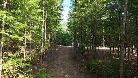 Vacant Land For Sale - TR C East New Hope Road<br/> Ellijay, GA 30536