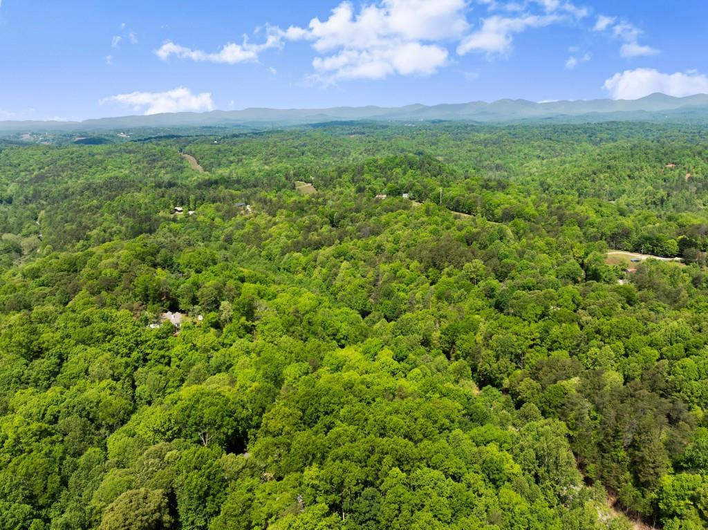 364 Cherokee Trace, Dahlonega, Georgia image 49