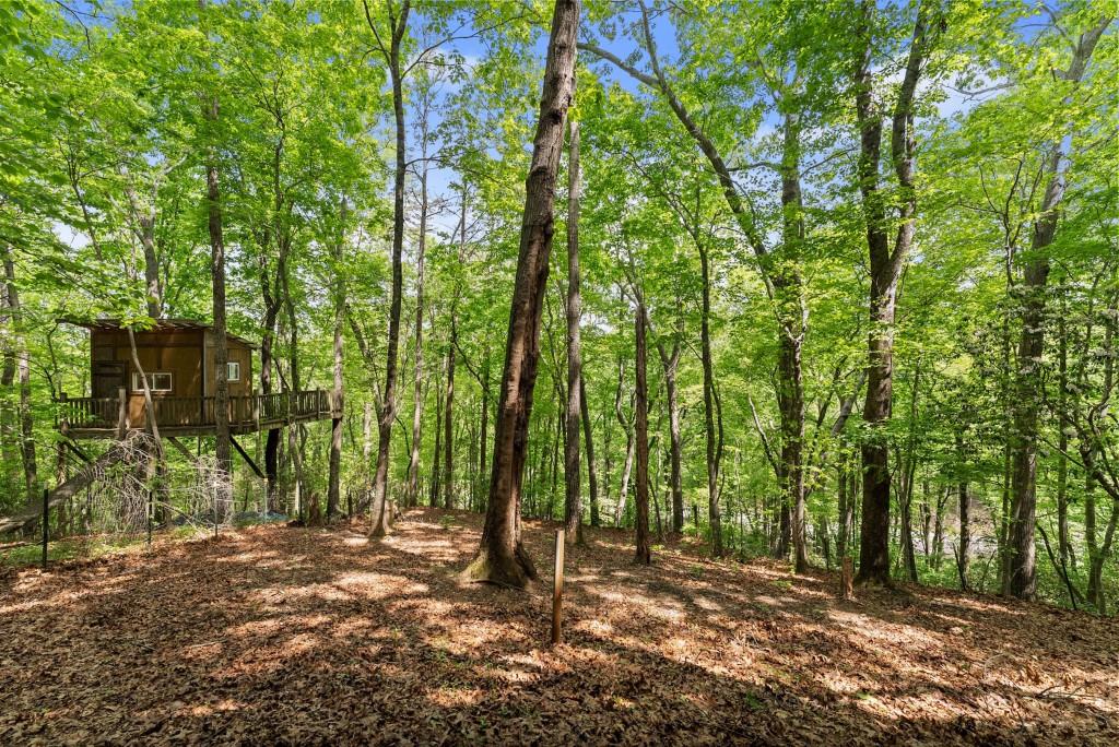 364 Cherokee Trace, Dahlonega, Georgia image 33