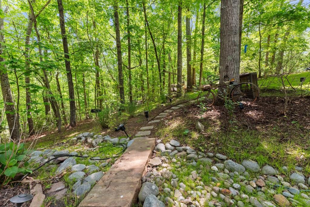364 Cherokee Trace, Dahlonega, Georgia image 42