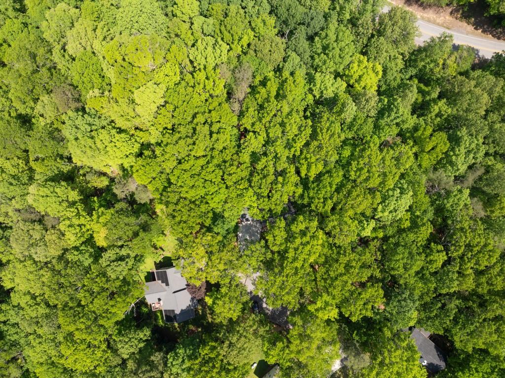 364 Cherokee Trace, Dahlonega, Georgia image 47