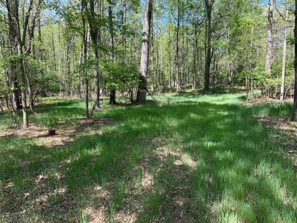 0 Panhandler Circle (2C)