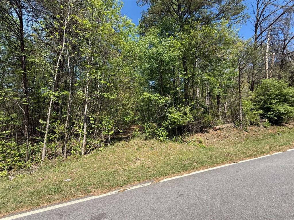 0 Panhandler Circle (2C)