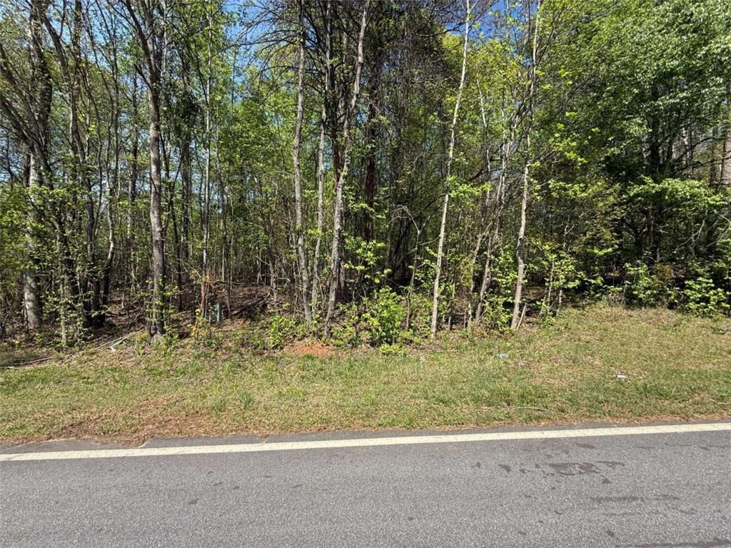 0 Panhandler Circle (2C)