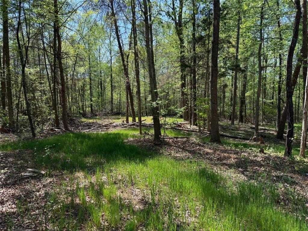 0 Panhandler Circle (2C)