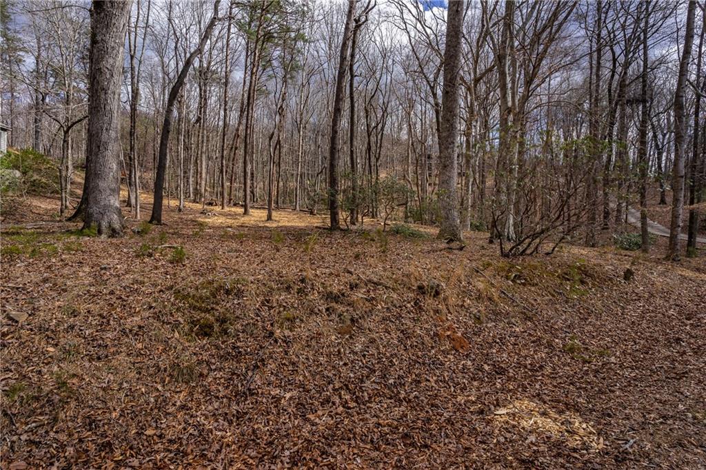 N Duffer Drive, Jasper, Georgia image 8