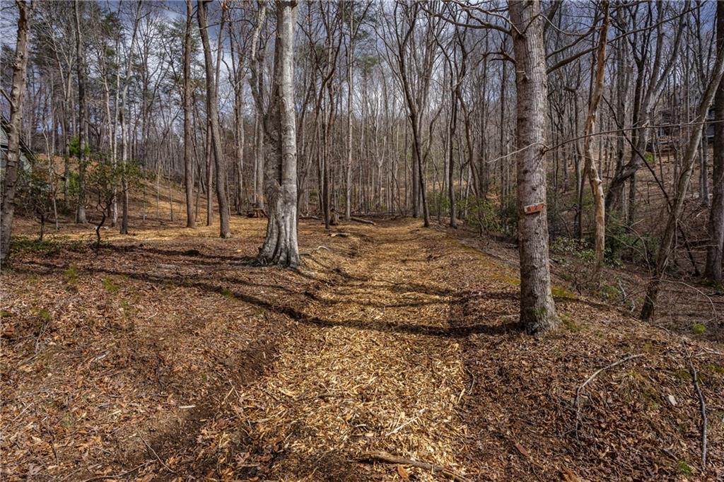 N Duffer Drive, Jasper, Georgia image 9