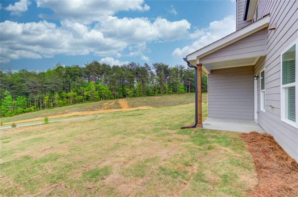 6373 Pine Station Drive, Lula, Georgia image 29
