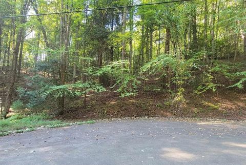 Vacant Land For Sale - Cataula Court<br/> Ellijay, GA 30540