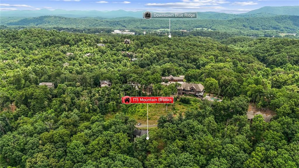 175 Mountain Brooks Road