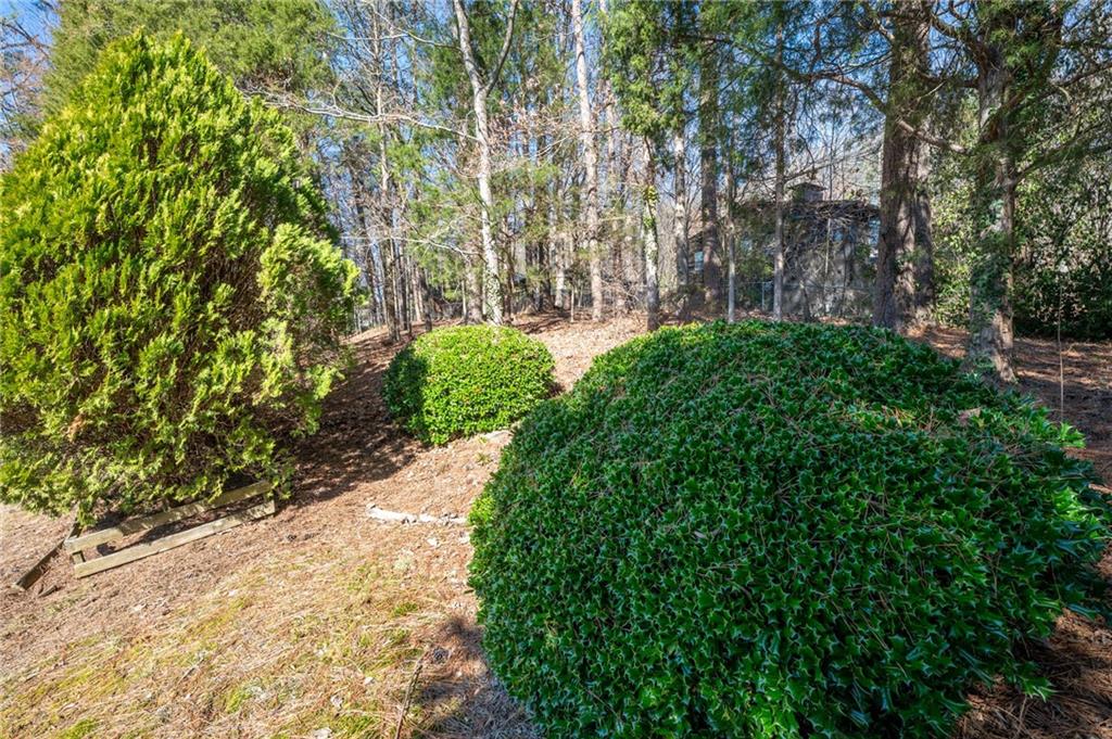 100 N Tibbs Road, Dalton, Georgia image 44