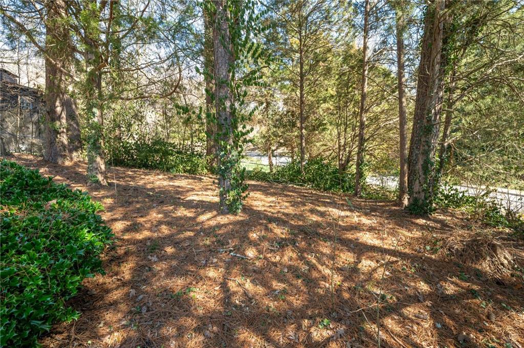 100 N Tibbs Road, Dalton, Georgia image 45