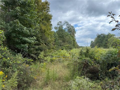 Vacant Land For Sale - Magnolia Avenue<br/> Bowdon, GA 30108