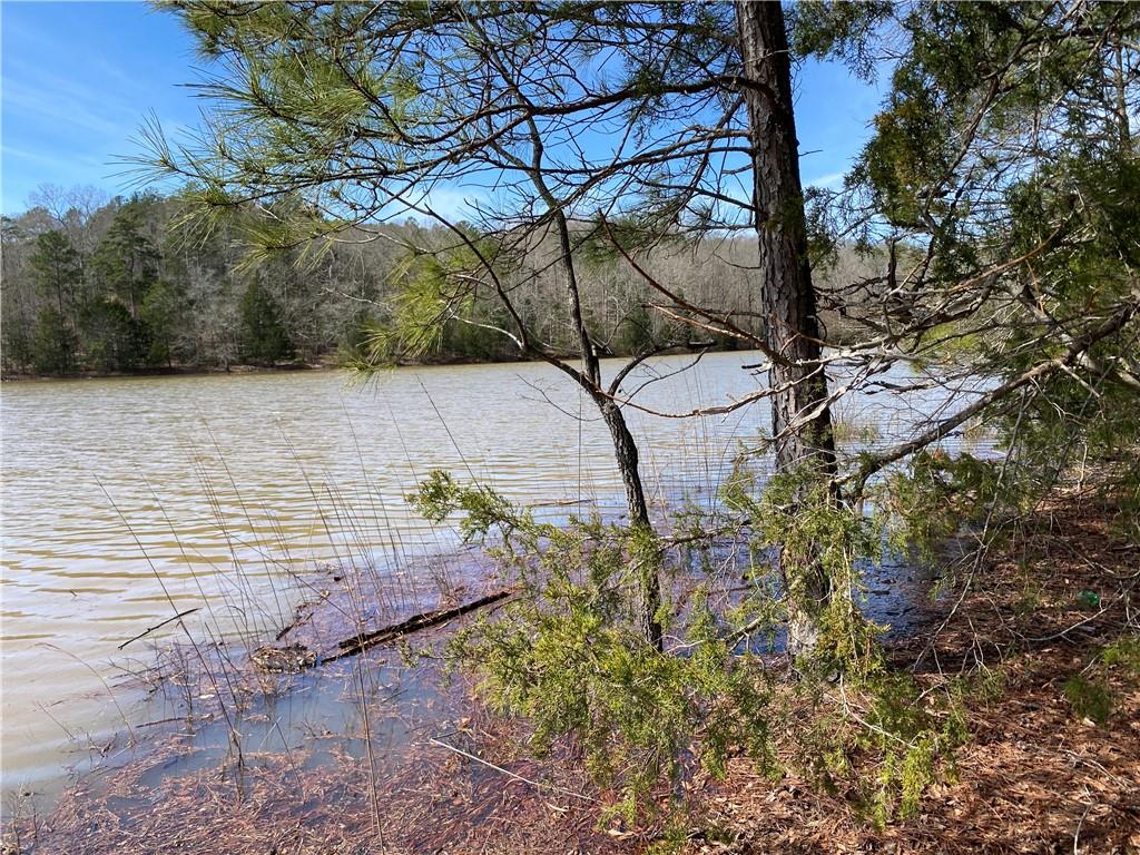 Lot 26 Omaha Drive, Elberton, Georgia image 3