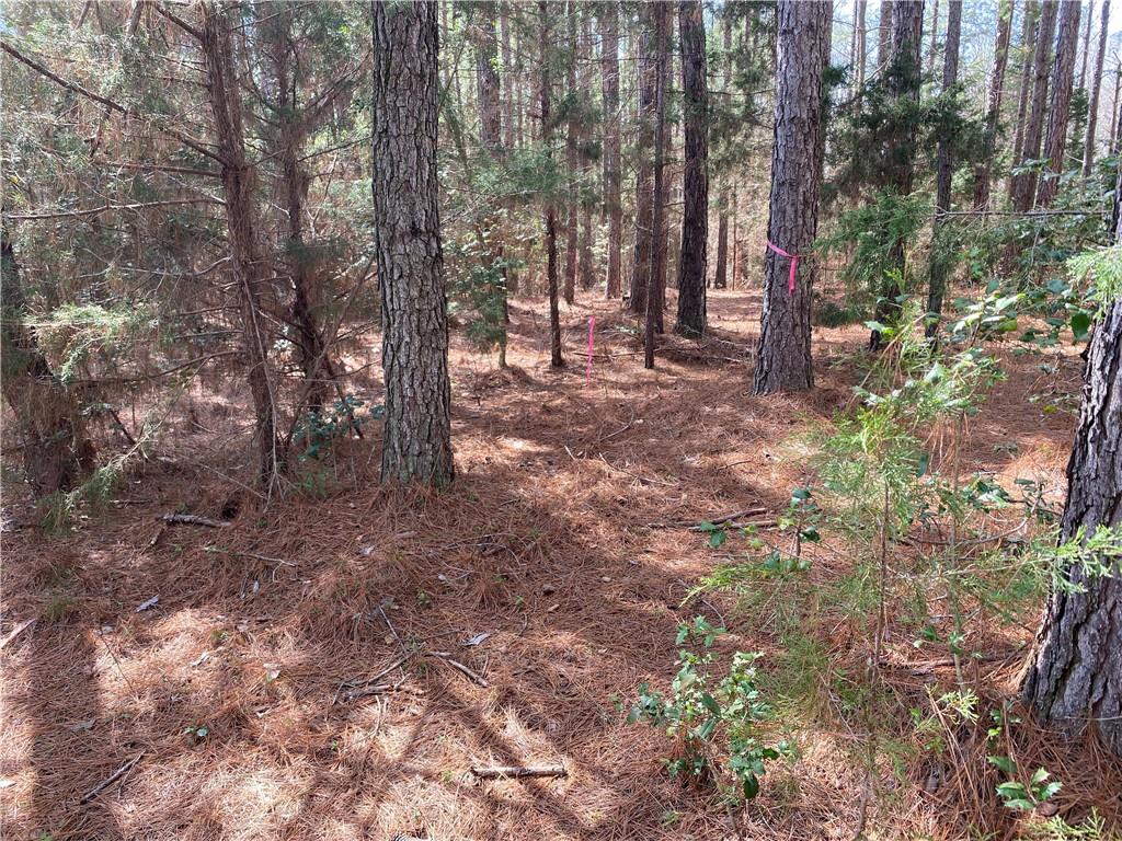 Lot 26 Omaha Drive, Elberton, Georgia image 5