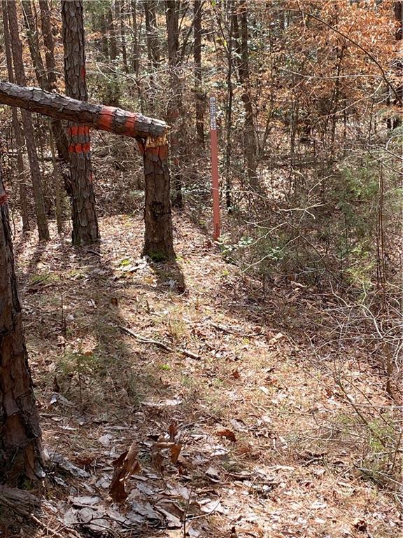 Lot 26 Omaha Drive, Elberton, Georgia image 8