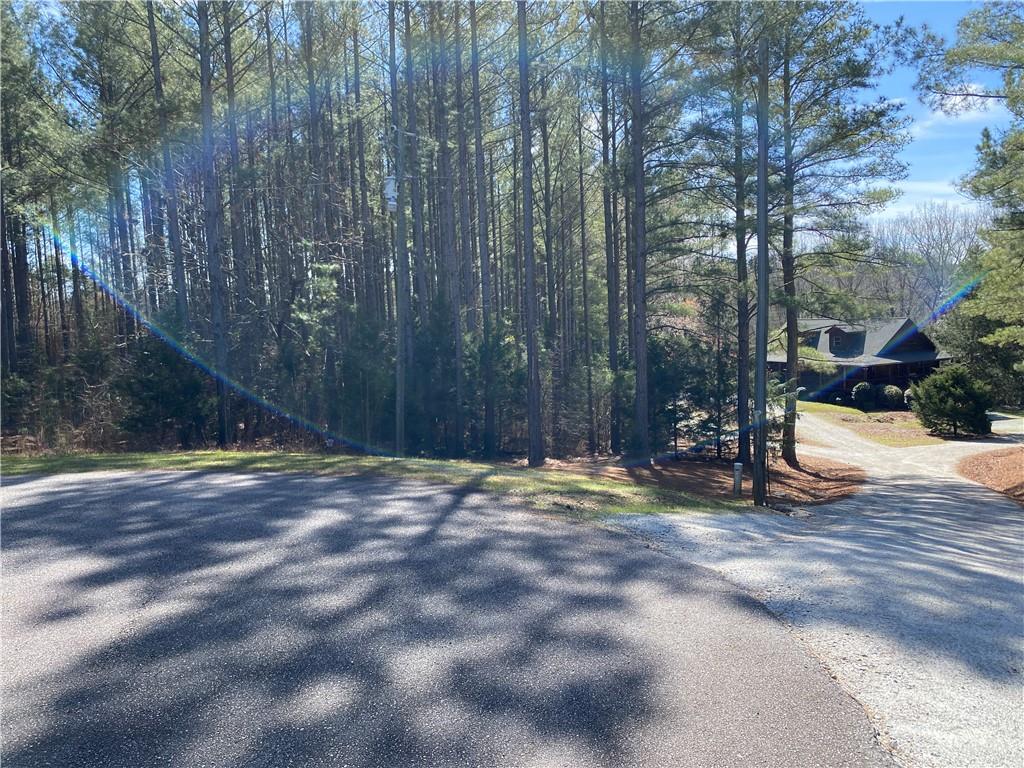 Lot 26 Omaha Drive, Elberton, Georgia image 11