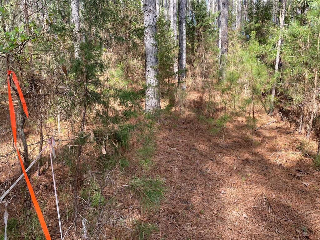 Lot 26 Omaha Drive, Elberton, Georgia image 4