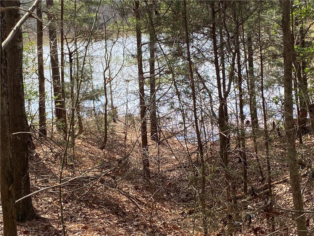 Lot 26 Omaha Drive, Elberton, Georgia image 9