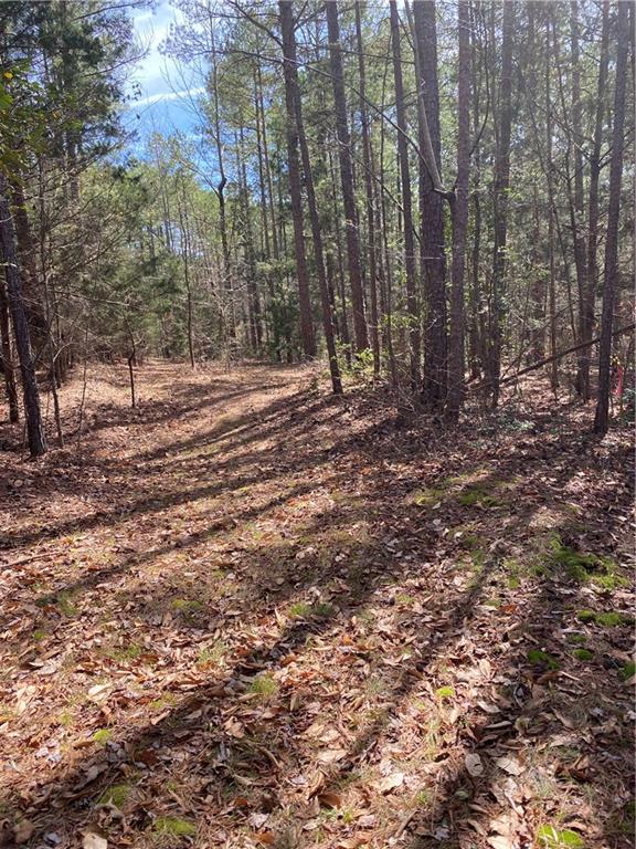 Lot 26 Omaha Drive, Elberton, Georgia image 6