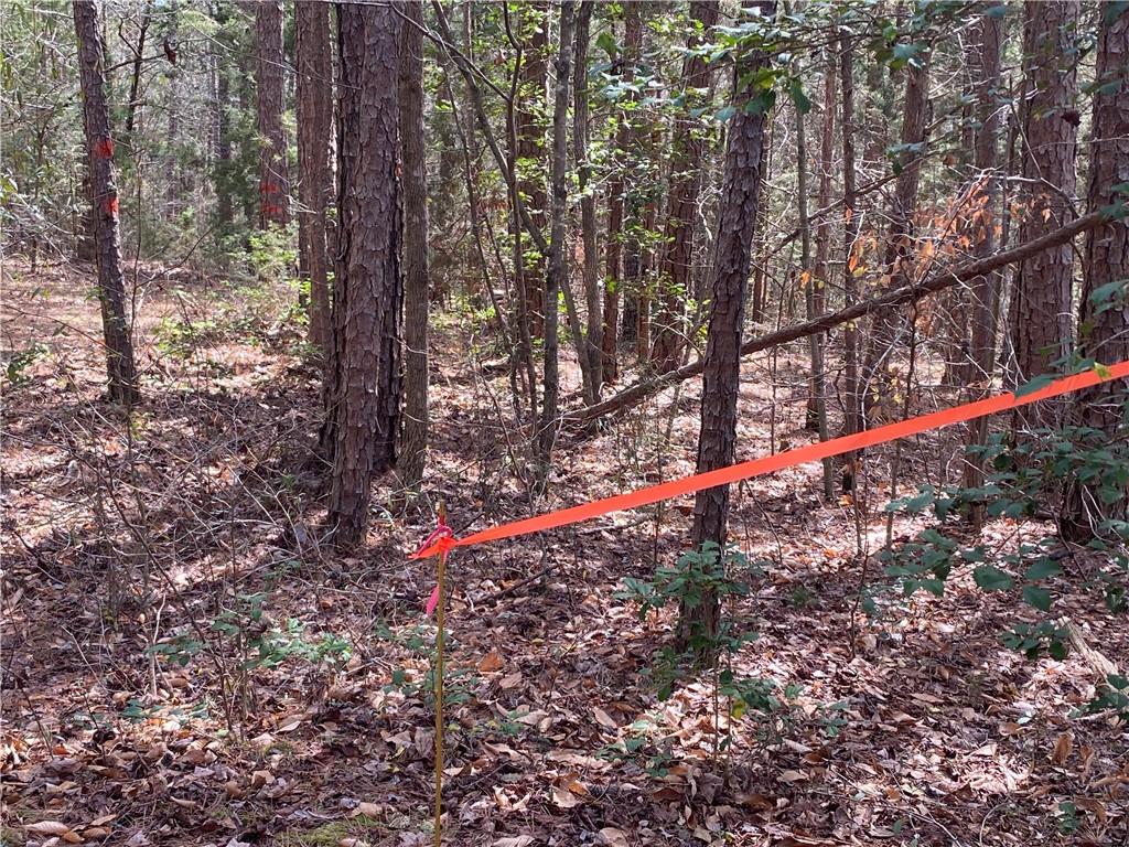 Lot 26 Omaha Drive, Elberton, Georgia image 7