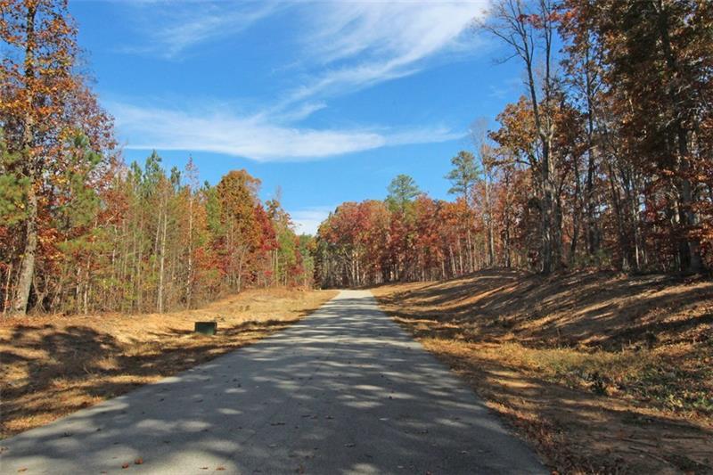 LOT 12 Elsberry Mountain Road, Dallas, Georgia image 5