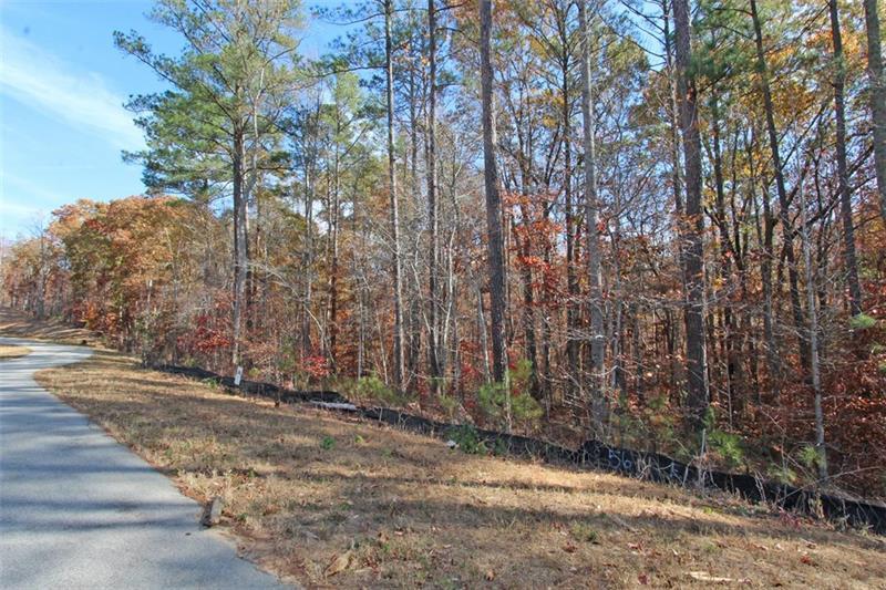 LOT 12 Elsberry Mountain Road, Dallas, Georgia image 7