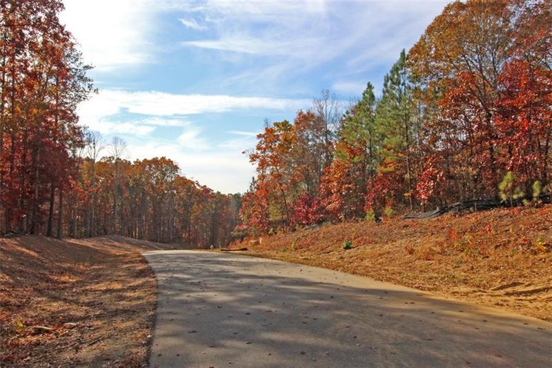 LOT 12 Elsberry Mountain Road, Dallas, Georgia image 4