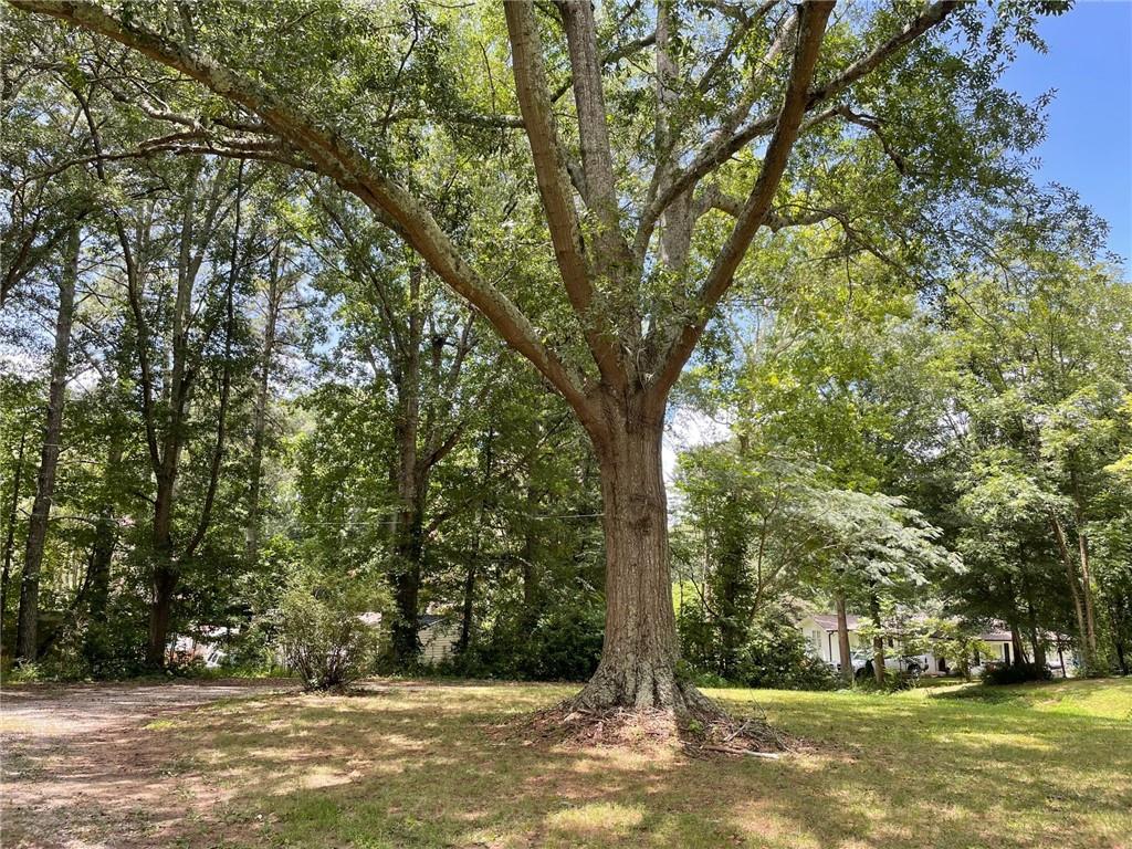 117 Chester Harris Drive