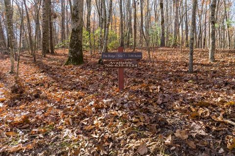 Vacant Land For Sale - LOT 7 Joseph Anderson Trail<br/> Ellijay, GA 30536